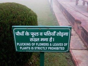 Plucking flowers and leave is strictly forbidden.